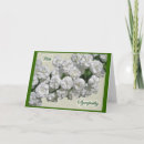 Search for shrub cards Bloom