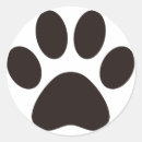 Search for animal footprints stickers Cat