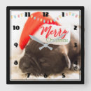 Search for pug clocks Merry christmas