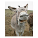 Search for silly faces posters Goofy