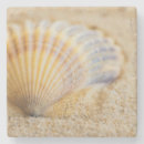 Search for seashell pictures coasters Waves
