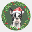 Search for boston terrier puppy stickers Dog