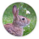 Search for rabbit knobs and pulls Nature
