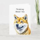 Search for shiba inu cards Dog lovers