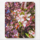 Search for gentleness electronics Flowers