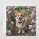 Search for corgi birthday cards Animal