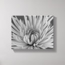 Search for black and white flowers canvas prints Botanical