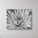 Search for black and white flowers canvas prints Botanical