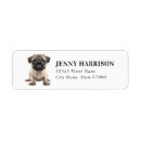 Search for pug return address labels Puppy