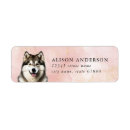 Search for alaskan malamute return address labels Husky