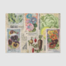 Search for seed tissue paper Decoupage