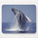 Search for fins mousepads Nature