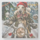 Search for greyhound dog coasters Dogs