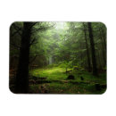 Search for forest magnets Woods