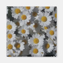 Search for white daisy magnets Petals