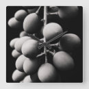 Search for grape clocks Vine