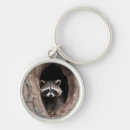 Search for racoon rounded key rings Nature
