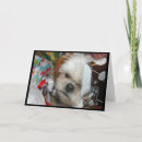Search for puppy christmas cards Shih tzu