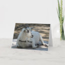 Search for goat thank you cards Cute