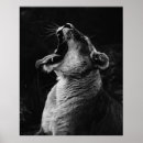 Search for yawning art Wild