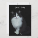 Search for cat dog birthday invitations Cats
