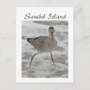 Search for gulf shores postcards Sand