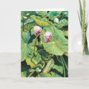 Search for eden cards Garden