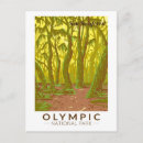 Search for rainforest postcards Olympic national park