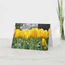 Search for of spring Flowers