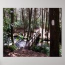 Search for appalachian posters Nature