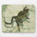 Search for frog electronics Nature