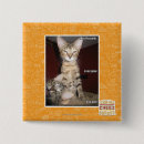 Search for idiot badges I can has cheezburger