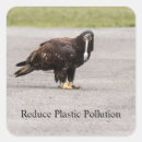 Search for pollute stickers Environment