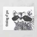 Search for racoons postcards Animals