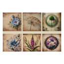 Search for antique paper background posters Distressed