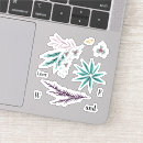 Search for orchid flower stickers White