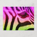 Search for funky postcards Colourful