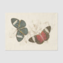 Search for butterfly tissue paper Nature
