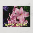 Search for spring postcards Pink