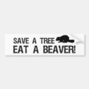 Search for beavers bumper stickers Humour