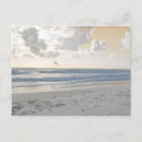 Search for waterscapes postcards Photography