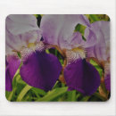 Search for purple iris mousepads Flowers