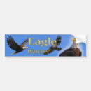 Search for raptor bumper stickers Eagle