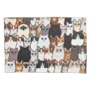 Search for kittens pillowcases Fun