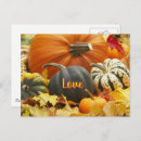 Search for pumpkin fall postcards Autumn