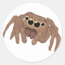 Search for spiders stickers Jumping spider