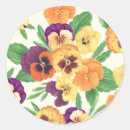 Search for pansies stickers Pattern