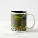 Search for keukenhof mugs Netherlands