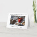 Search for cardinal quotes Loss