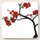 Search for bonsai Flower